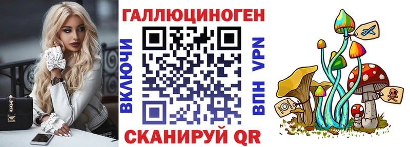 Галлюциногенные грибы Psilocybe  купить  цена  Приморско-Ахтарск 